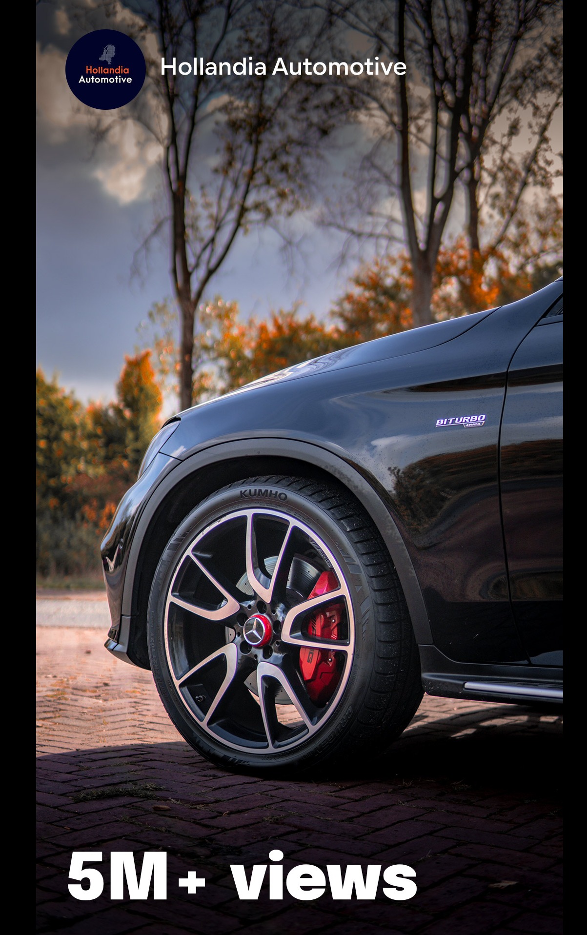 Gallery gallery_images_6_1_17708451301682333246.jpg  | Yanse.nl